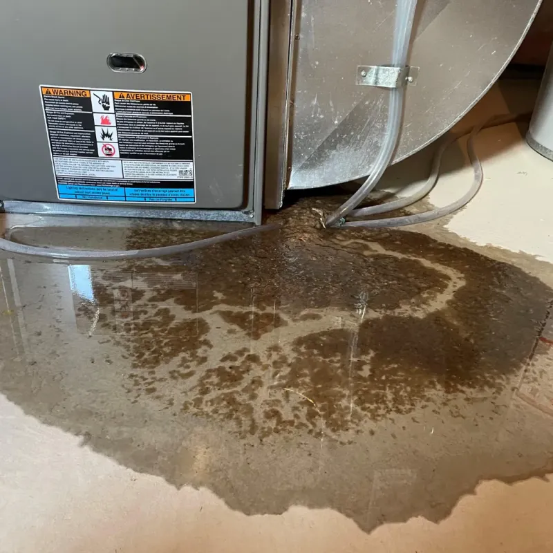 Appliance Leak Cleanup in Orange County, VA